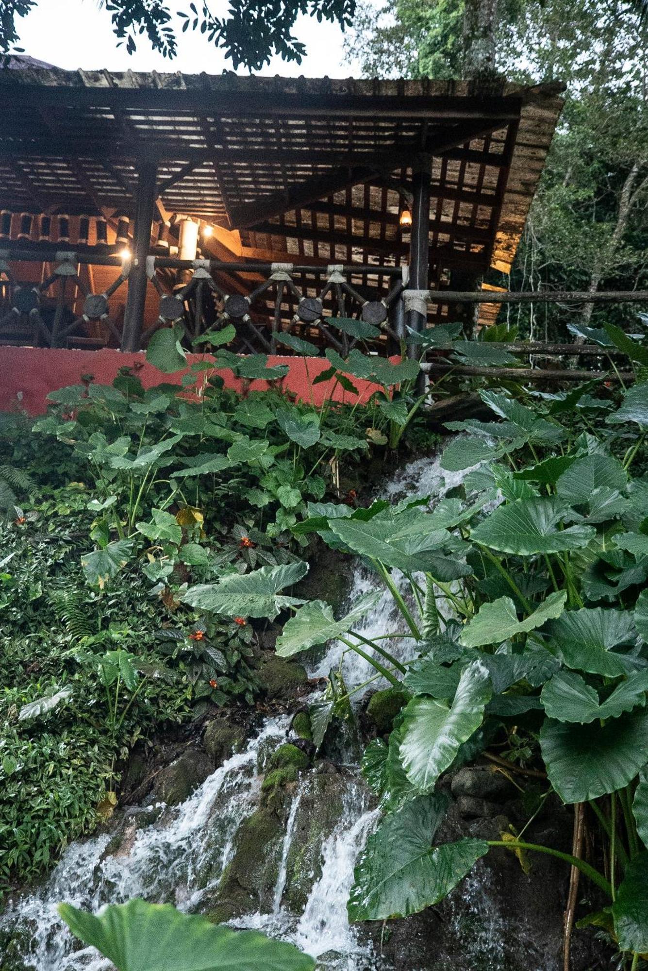 Platon Ecolodge Barahona 외부 사진